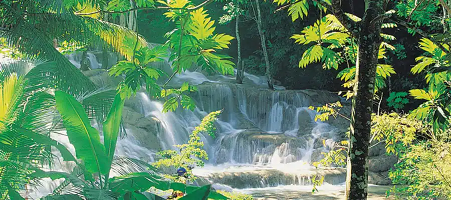 ocj gallery 900x400 02