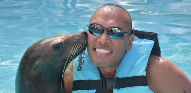 sea lion 640x311